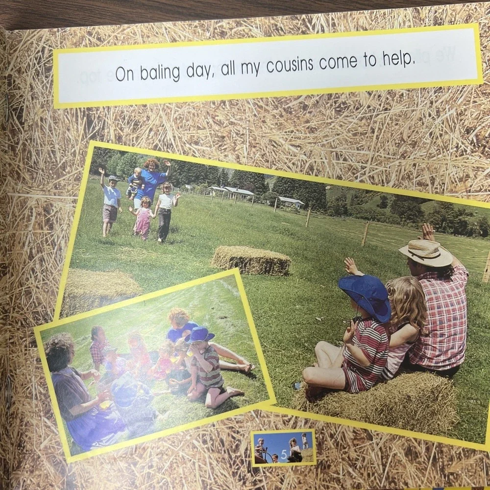 (Lot of 5) Level 1 HAY MAKING Emergent Beginning Readers ( 1st/2nd Grade) Noonan